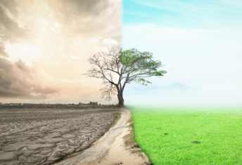 Robeco to roll out climate resilience scores to drive allocation decisions